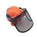 Forestry helmut with ear muffs and visor